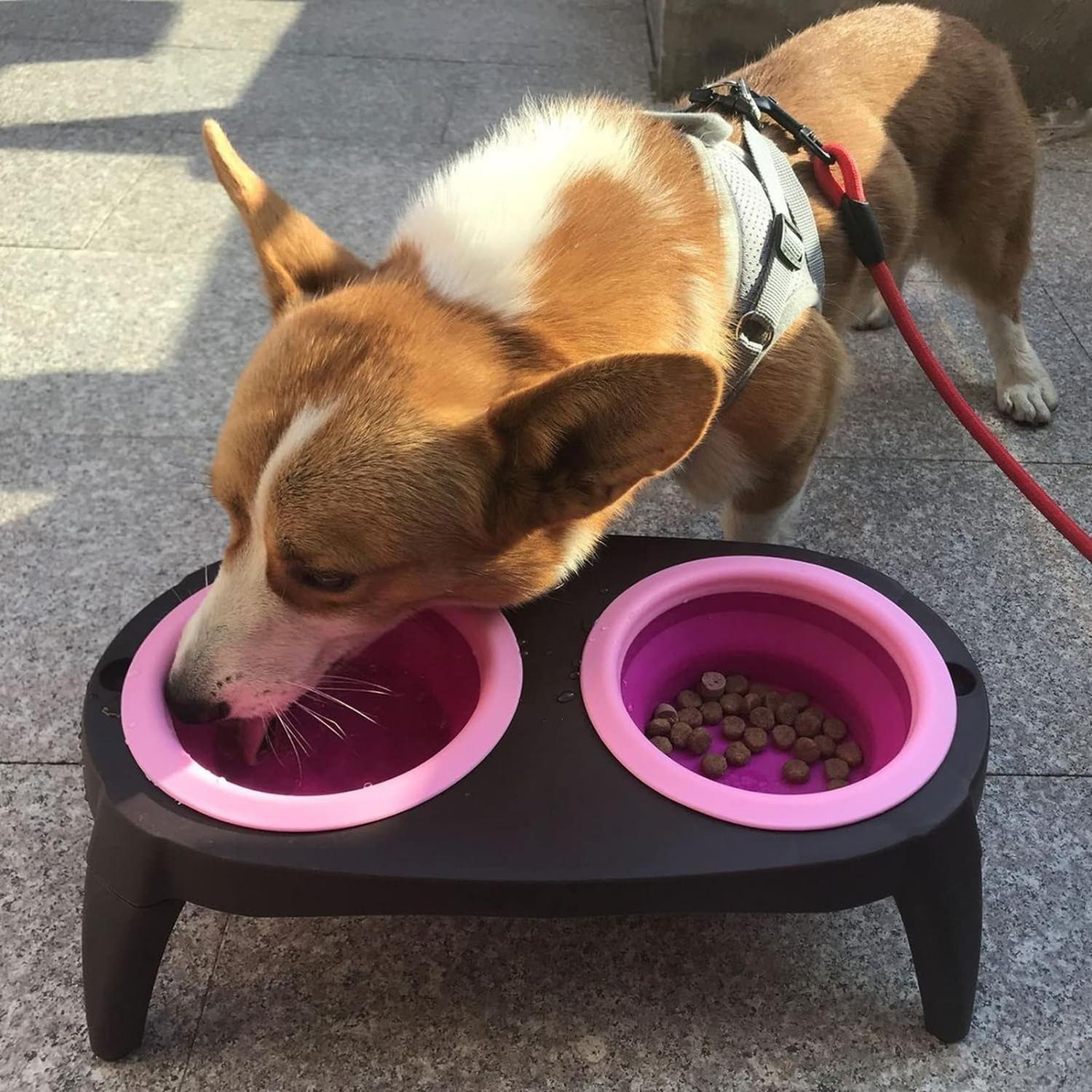 Plato Doble Mascota Plástico Y Silicona Para Perro Y Gato-2