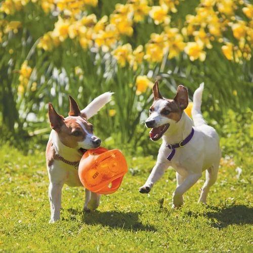 Pelota Jumbler Kong Para Mascotas - 14 Cm M/l Naranja-2