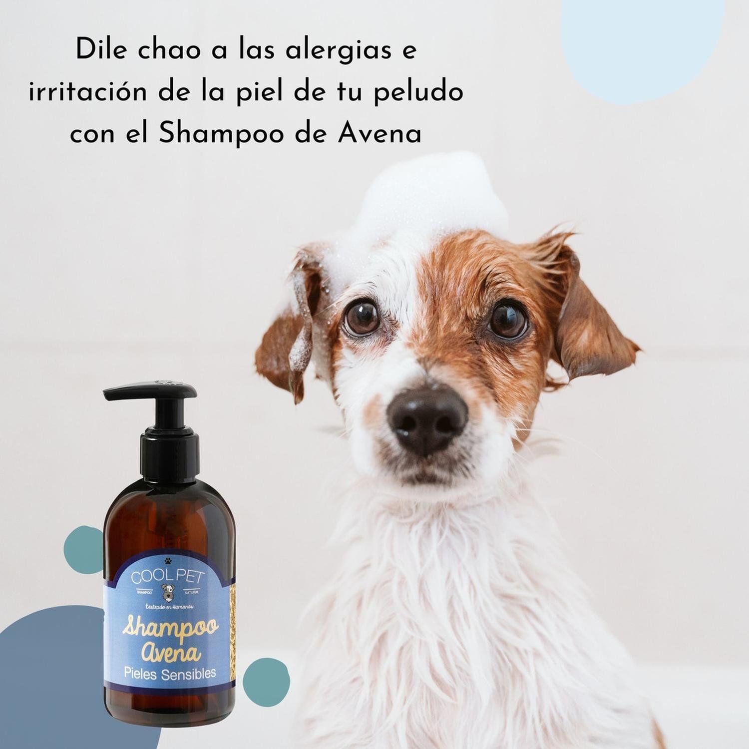 Shampoo De Avena Coolpet Perros Y Gatos Con Pieles Sensibles Pomelo-3