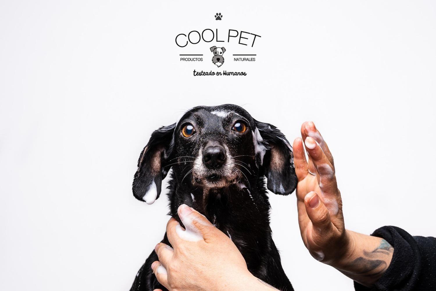 Shampoo De Avena Coolpet Perros Y Gatos Con Pieles Sensibles Pomelo-6