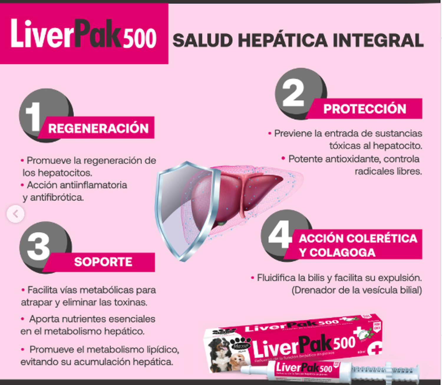 Liverpak500 Suplemento Protector Hepático Perro Jeringa 60ml-2