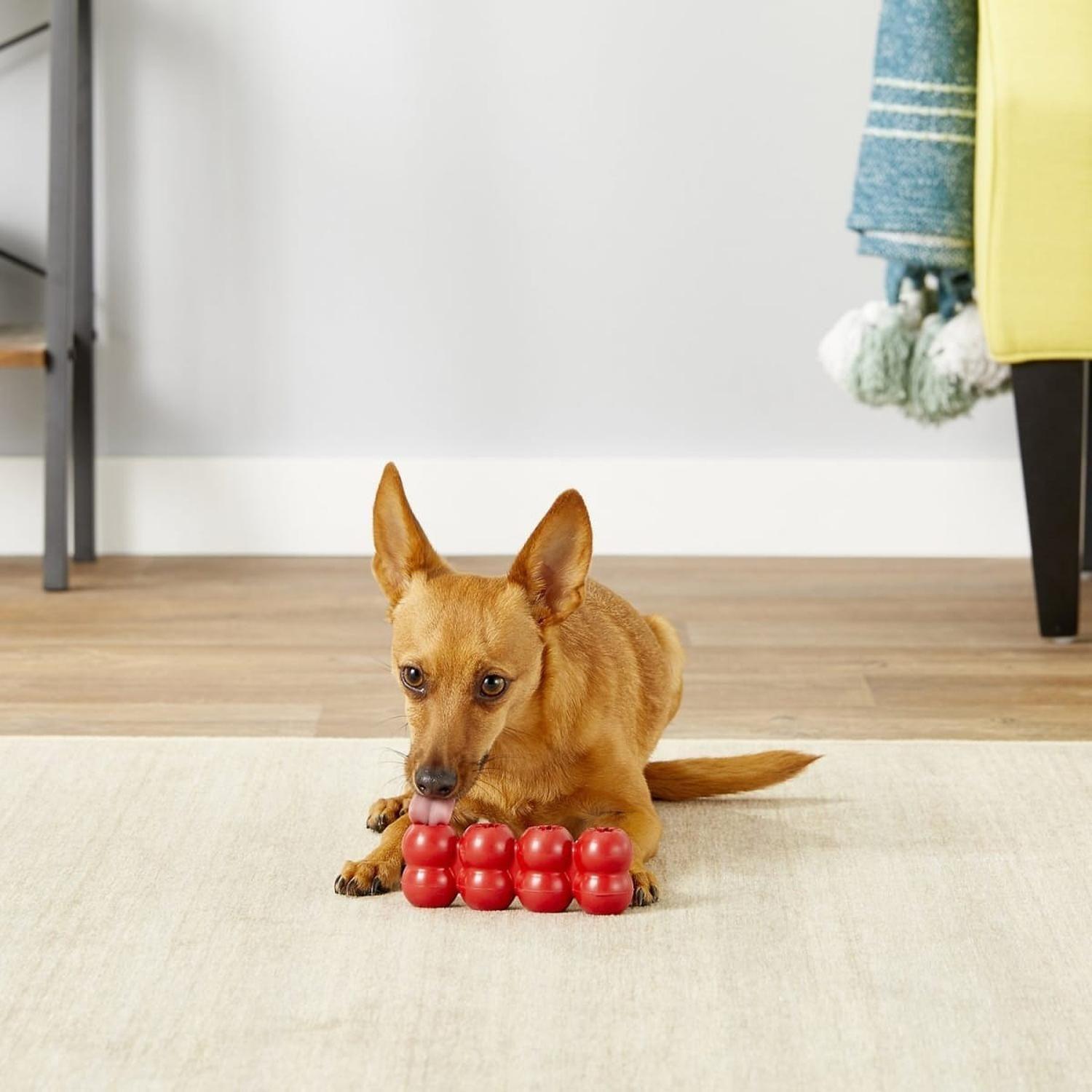 Juguete Rellenable Kong Goodie Ribbon Talla M De 7 A 16 Kg-2