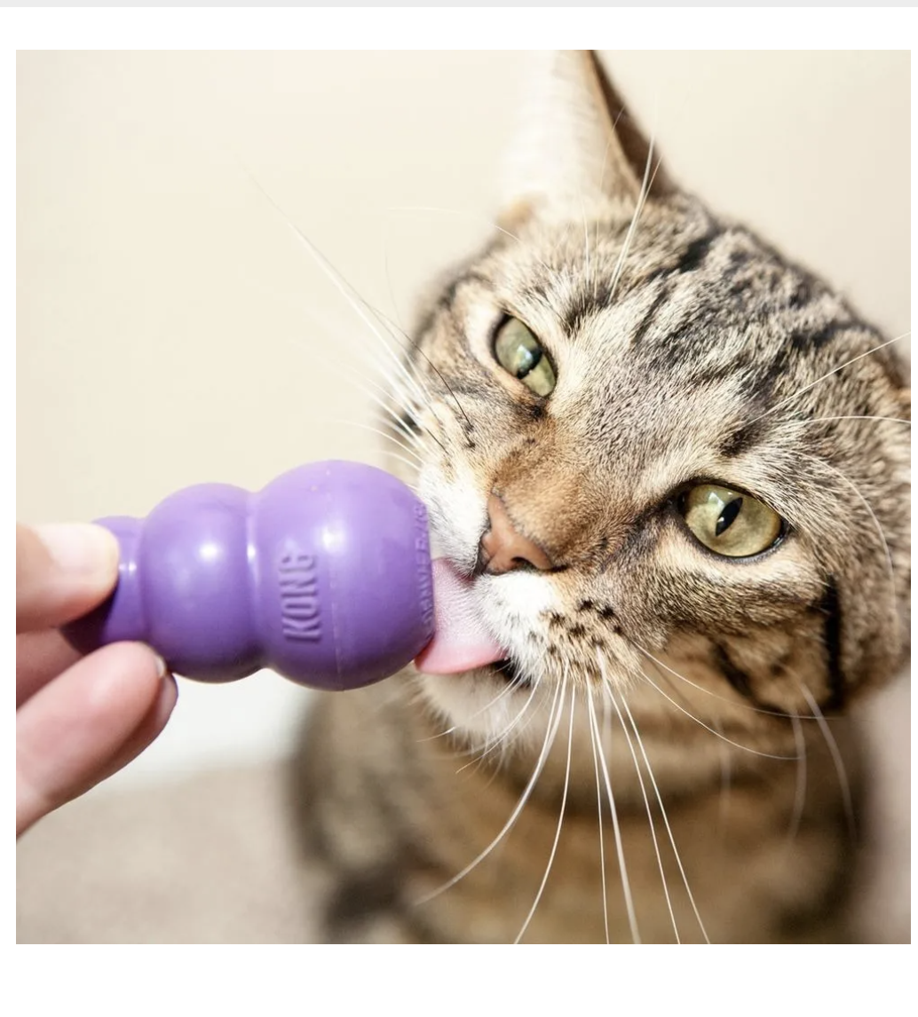 Juguete Kong Kitty Kong Para Gatos Rellenable Talla Única - MORADO-2