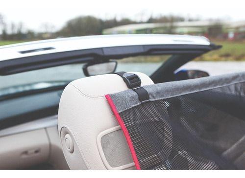Kong Barrera Protectora De Asiento Para Auto Perros Y Gatos-5