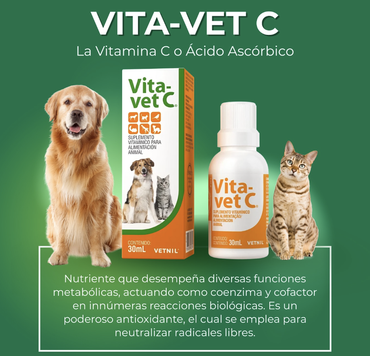 Vita-vet Suplemento De Vitamina C Para Perros Y Gatos 30 Ml-2