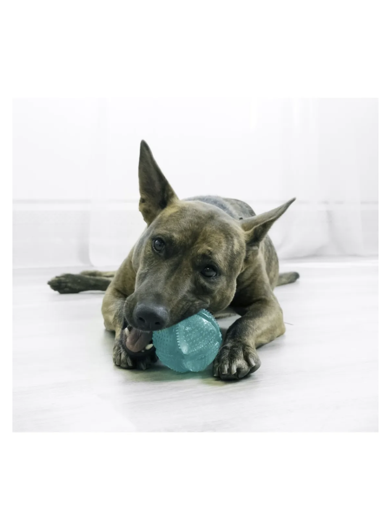 Kong Dental Squeezz Ball Pelota Dental Con Textura Talla M - VERDE-2
