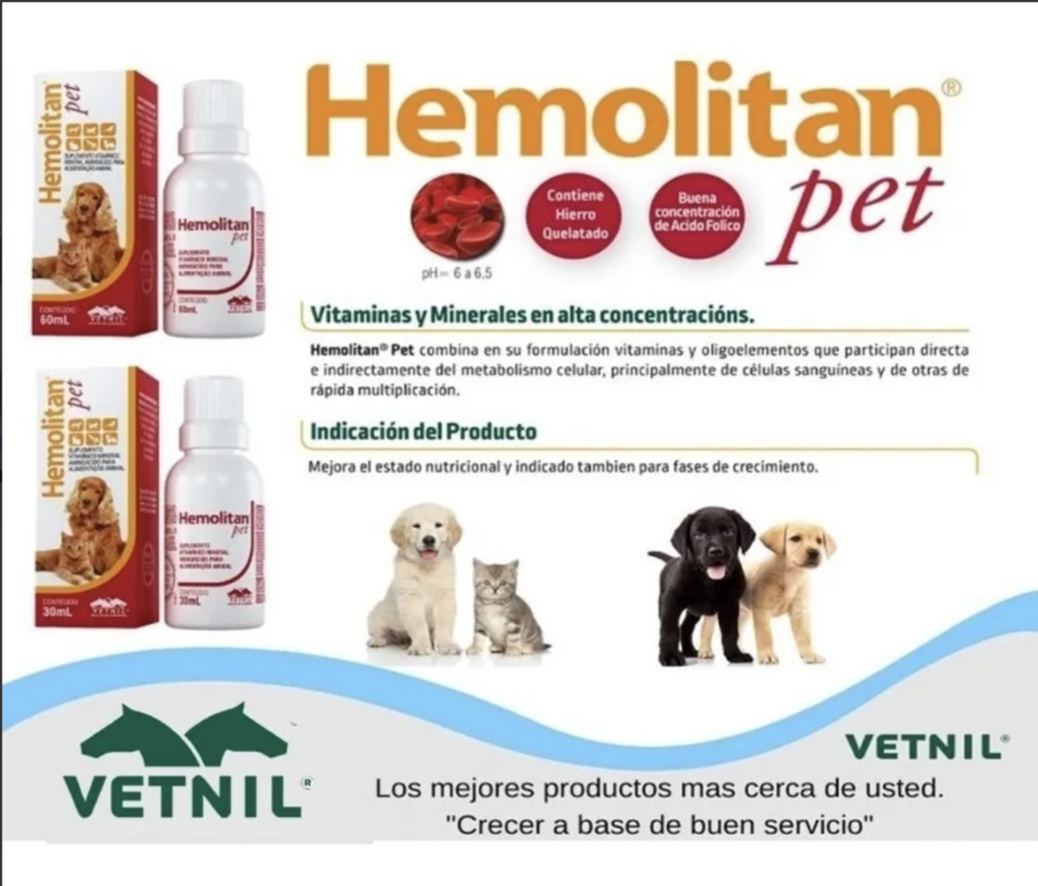 Hemolitan Pet 60ml Suplemento Para Perro Gato Y Aves-4