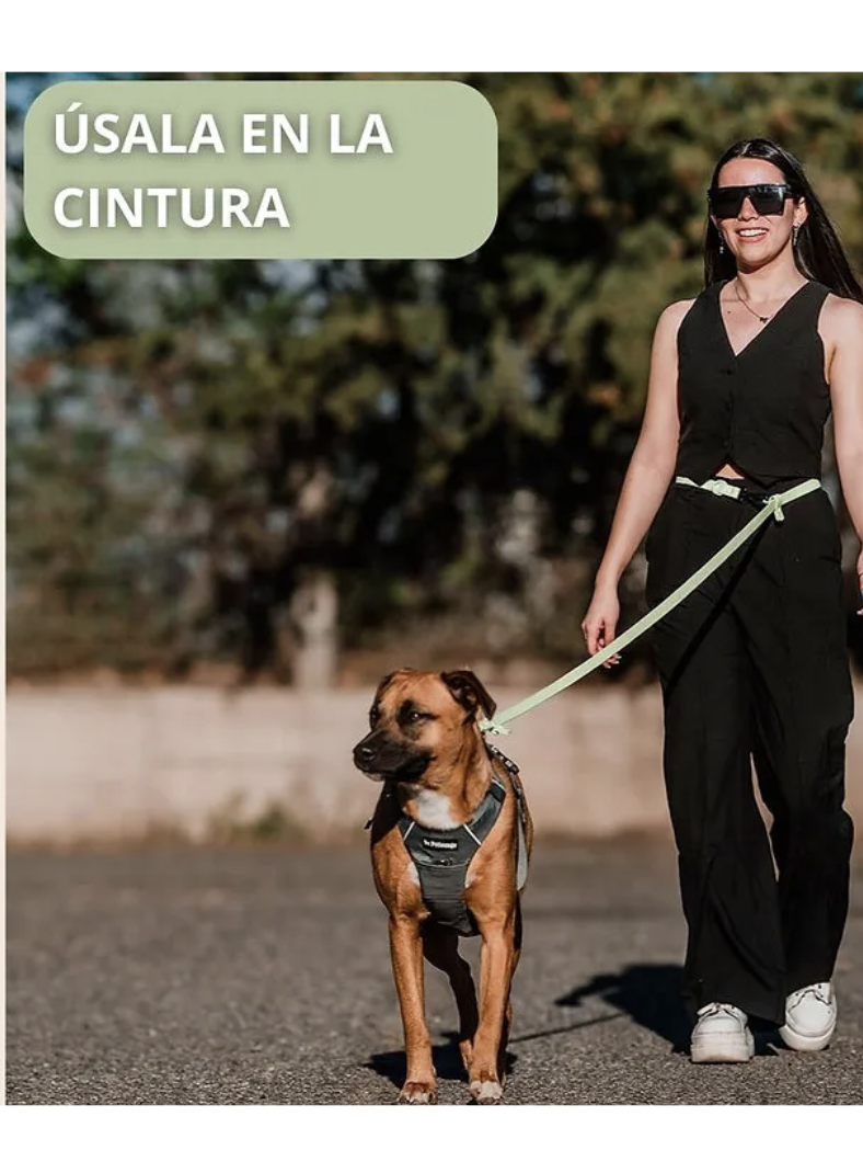 Petlounge Correa De Paseo Manos Libres Para Mascotas Perros - VERDE-6