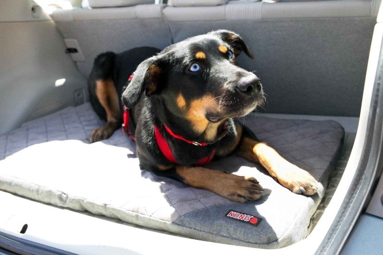 Kong Colchoneta De Viaje Plegable Para Mascotas Perro Y Gato Gris Colchoneta-8