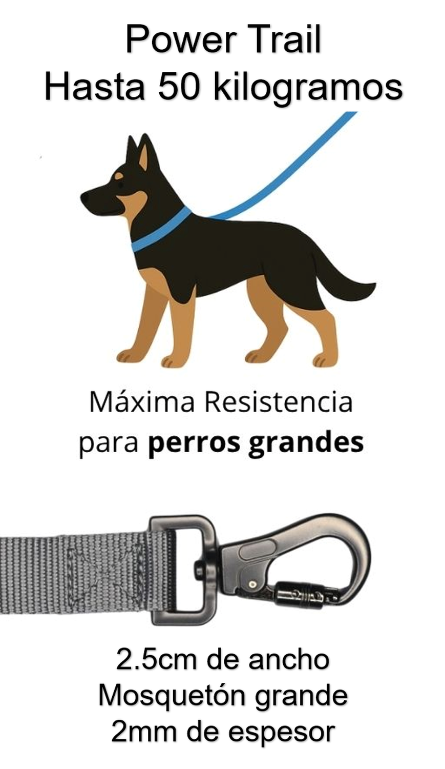 Correa De Paseo Adiestramiento Para Perros Petlounge 3m 2.0-6