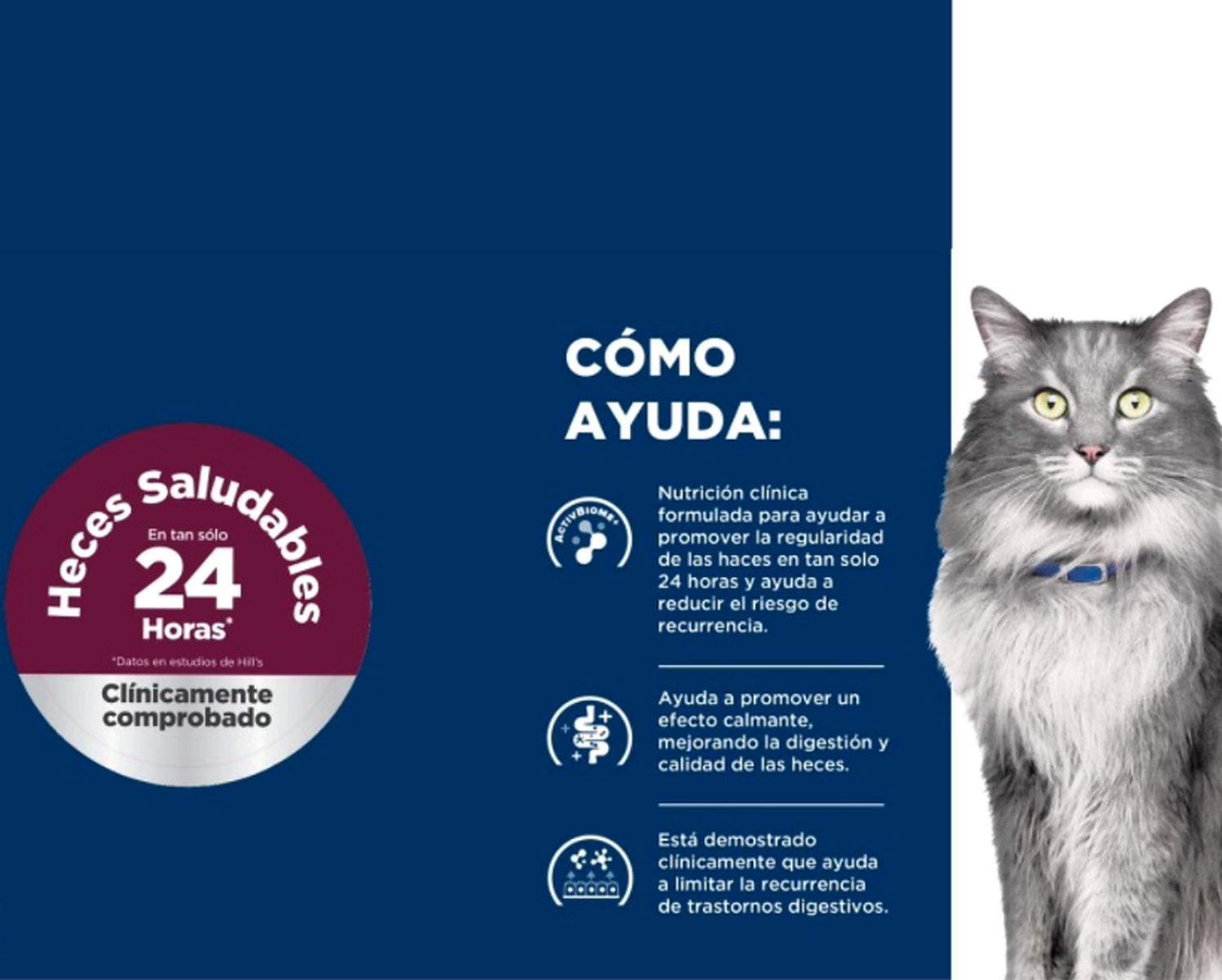 3X Alimento Hills Prescription Diet Para Gato Lata 82g C/U-3