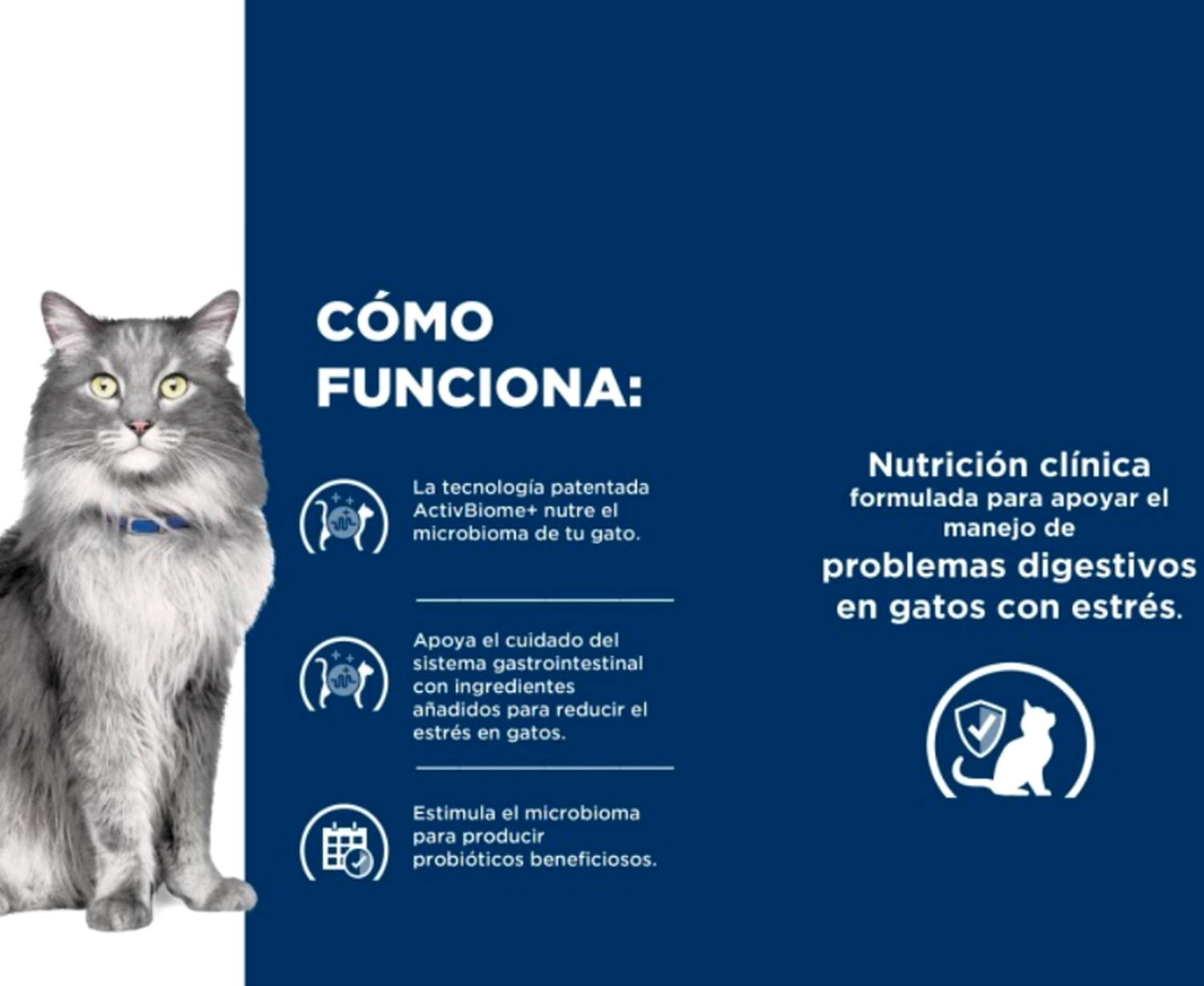 3X Alimento Hills Prescription Diet Para Gato Lata 82g C/U-4