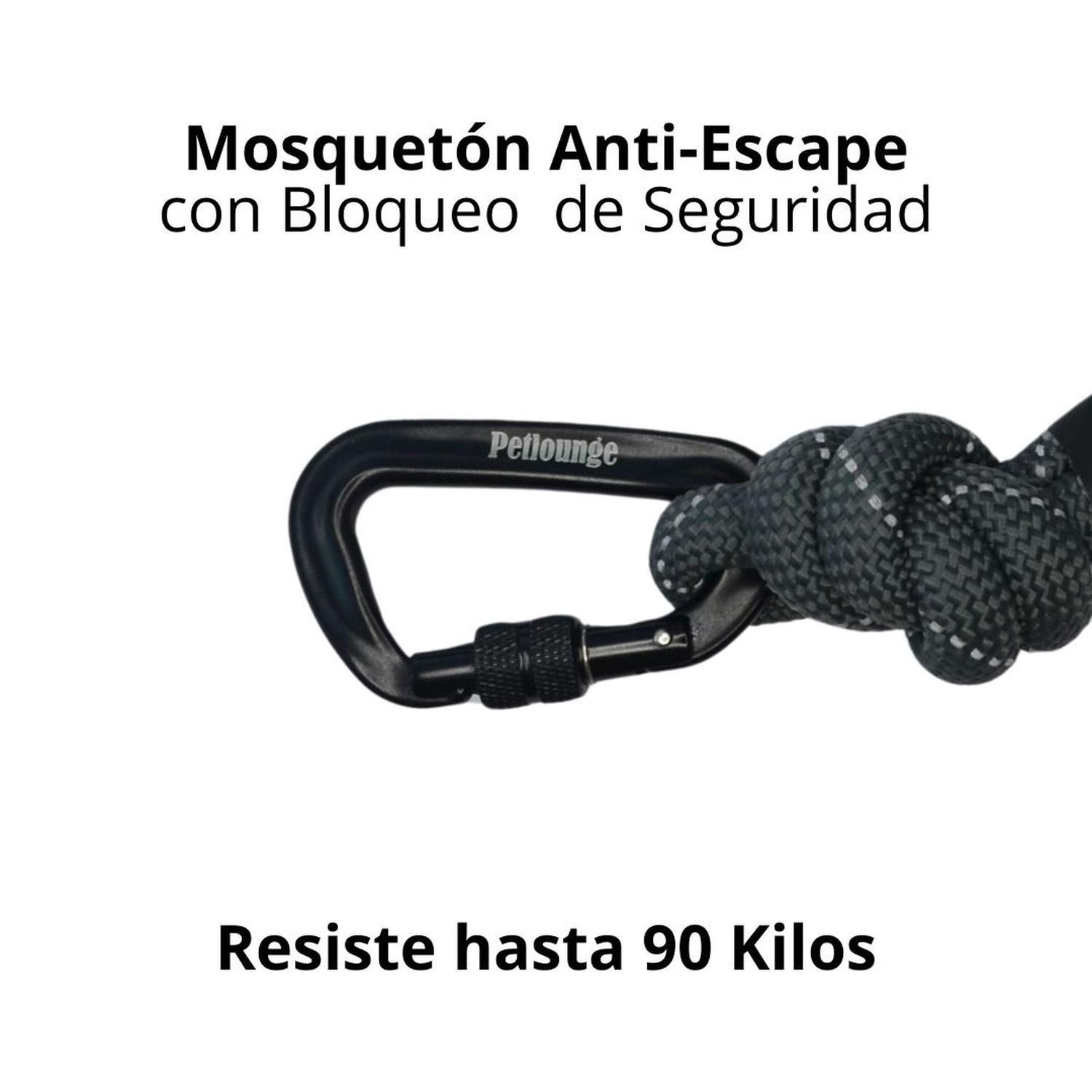 Correa De Paseo Resistente Para Perros Outdoor Petlounge-2