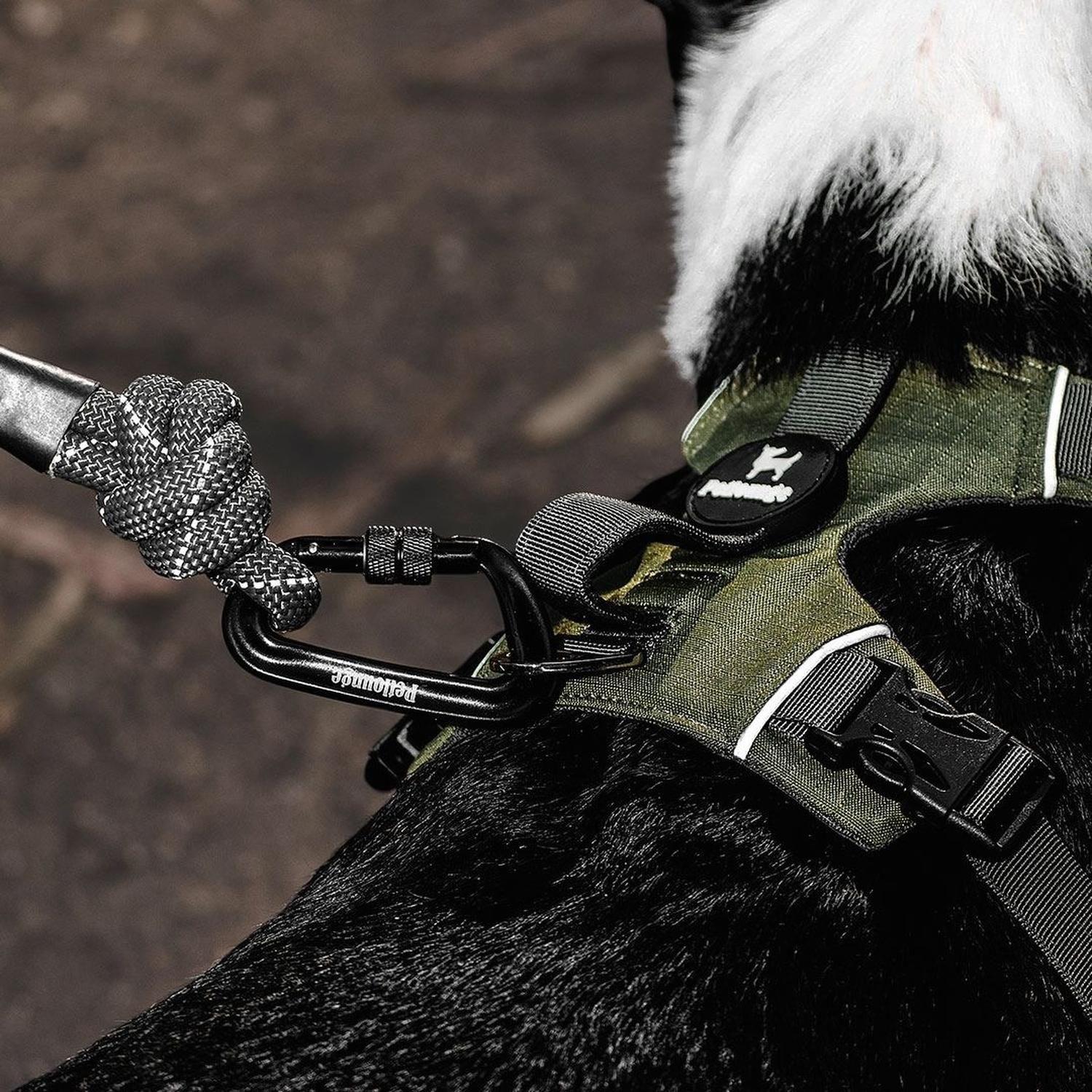 Correa De Paseo Resistente Para Perros Outdoor Petlounge-3