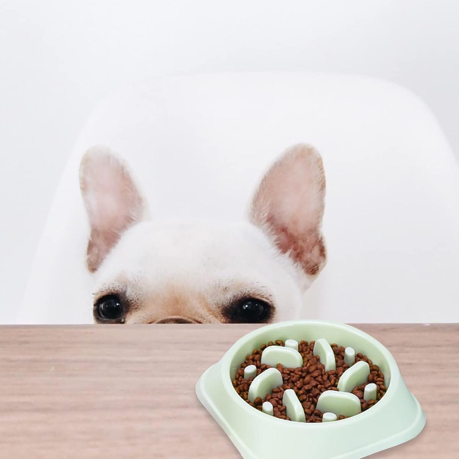 Plato Alimentación Lenta, Anti Estrés Para Perro Y Gato - VERDE-3