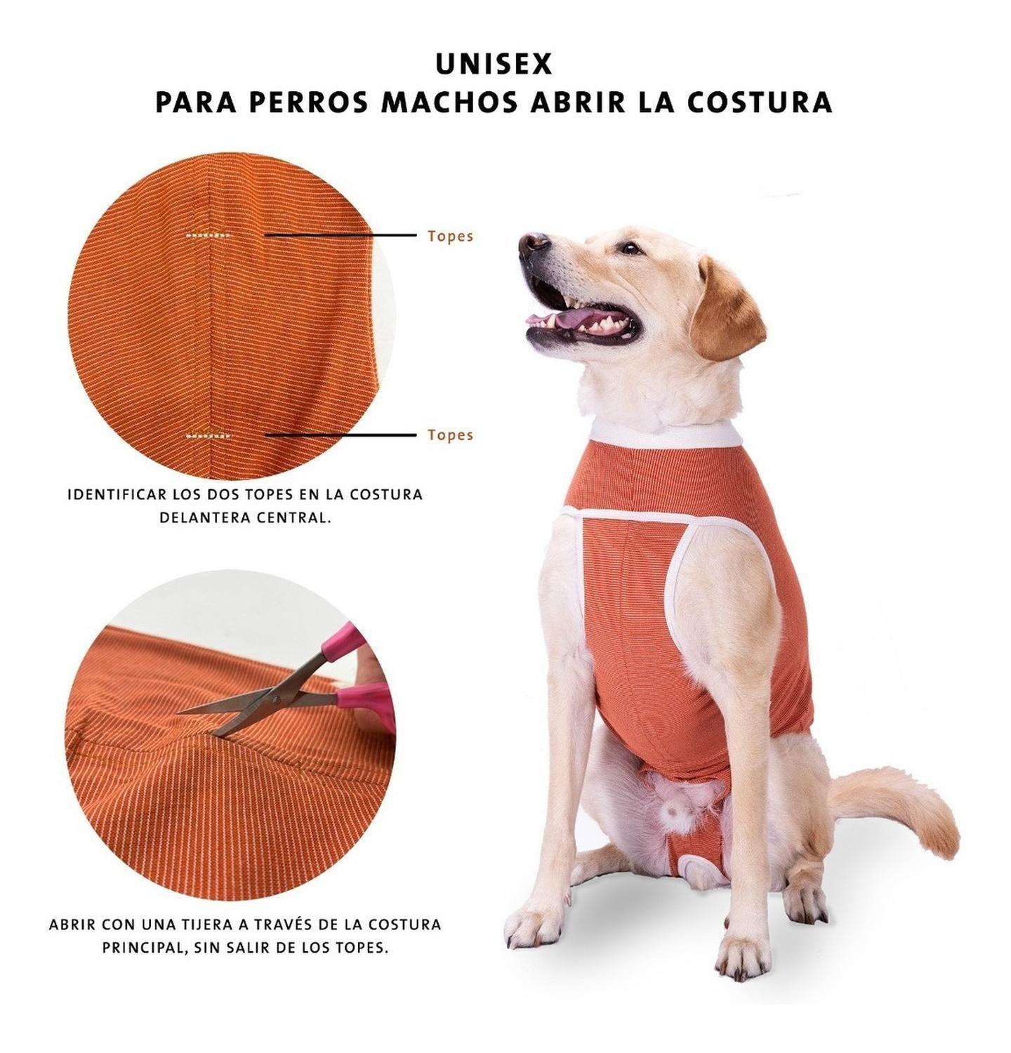 Body De Cobre Post Quirúrgico Castración Perro Macho Talla 1-2