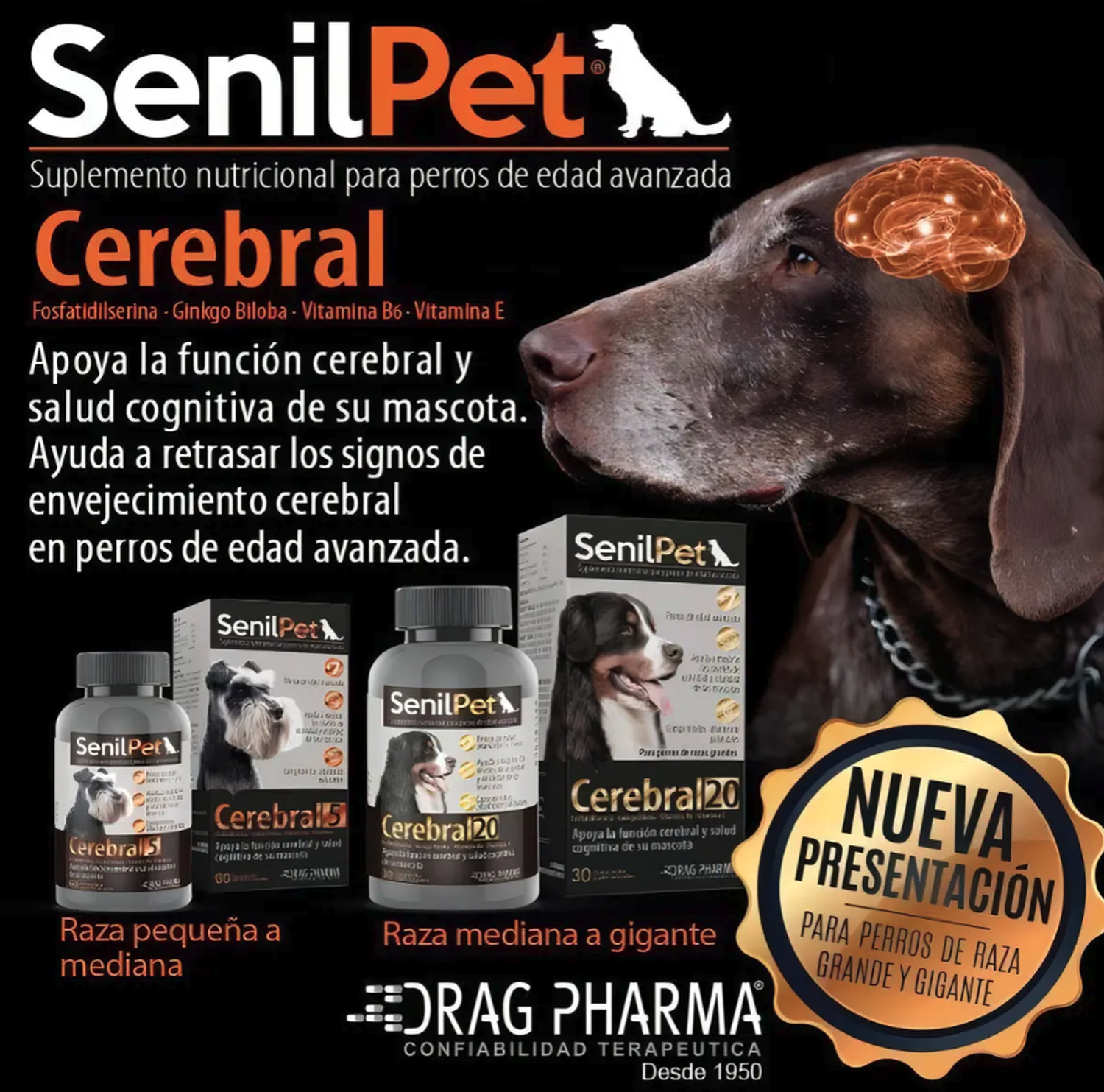Senilpet Cerebral 20 Raza Grande 30 comp Suplemento Dragpharma-2