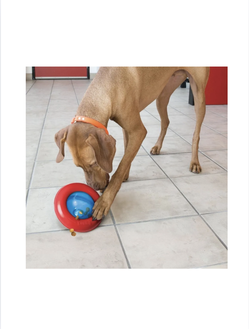 Kong Gyro Dispensador De Alimento Para Perro Talla L 16+ Kg - ROJO/AZUL-2
