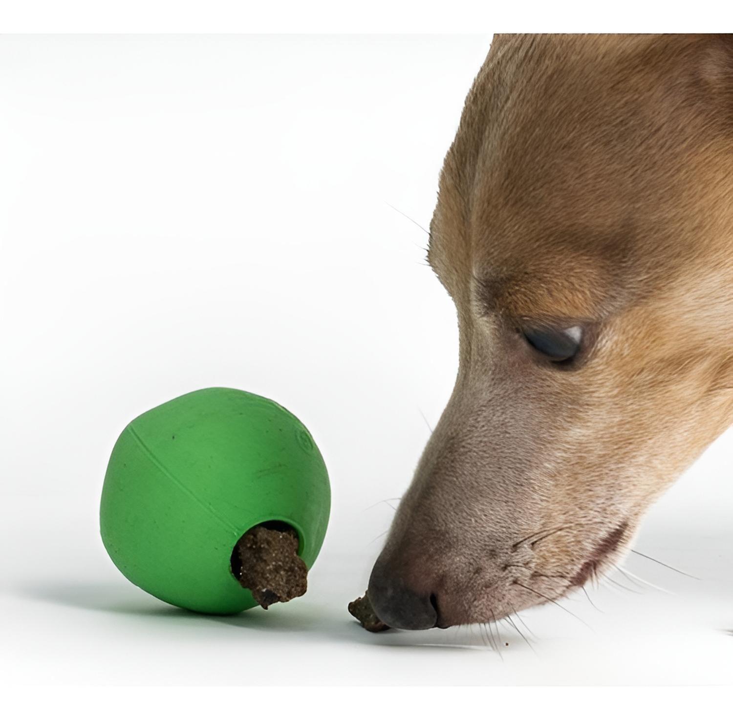 Beco Dog Ball Rellenable Goma Natural Para Perro Talla M-2
