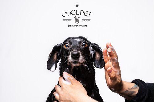 Shampoo De Avena Coolpet Perros Y Gatos Con Pieles Sensibles-6