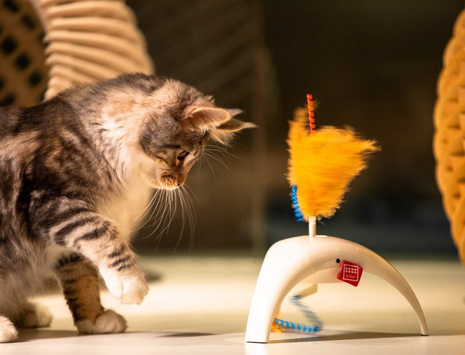 Juguete Interactivo Gato Cat Con Sensor Pluma Petdroid Gigwi-4