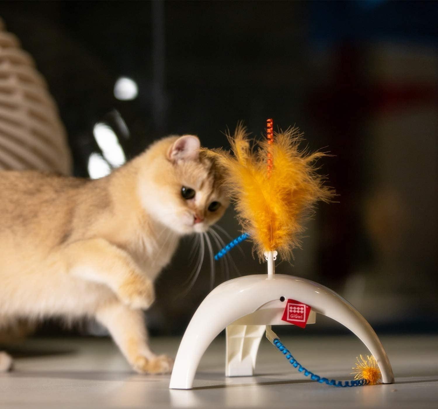 Juguete Interactivo Gato Cat Con Sensor Pluma Petdroid Gigwi-6