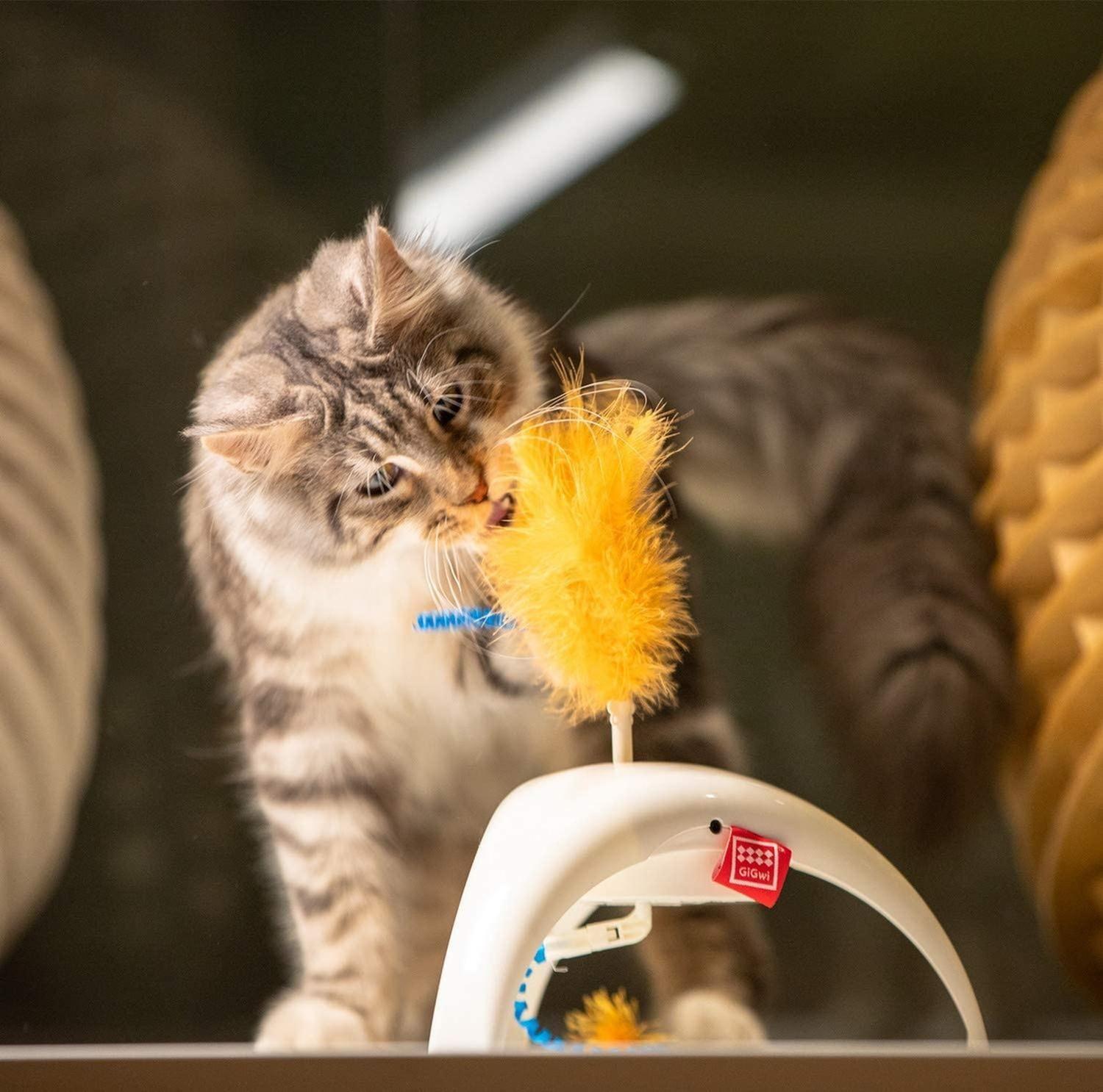 Juguete Interactivo Gato Cat Con Sensor Pluma Petdroid Gigwi-7