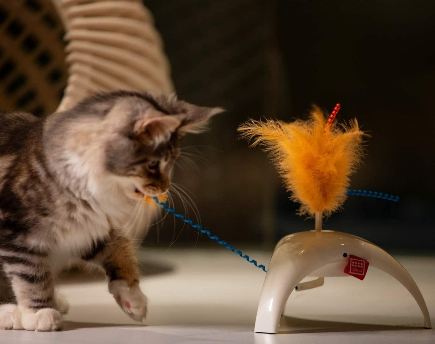 Juguete Interactivo Gato Cat Con Sensor Pluma Petdroid Gigwi-9