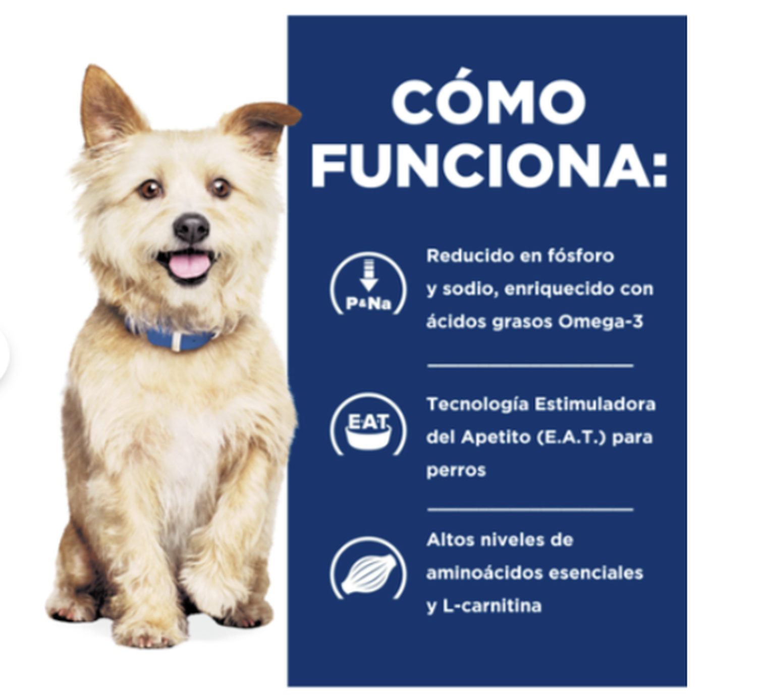 4X Hills Kidney Care K/D Con Pollo Para Perro 370 g-3