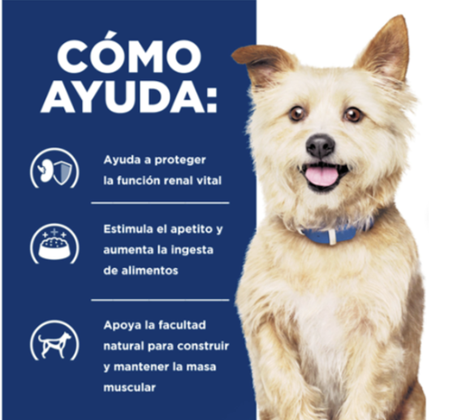 4X Hills Kidney Care K/D Con Pollo Para Perro 370 g-4