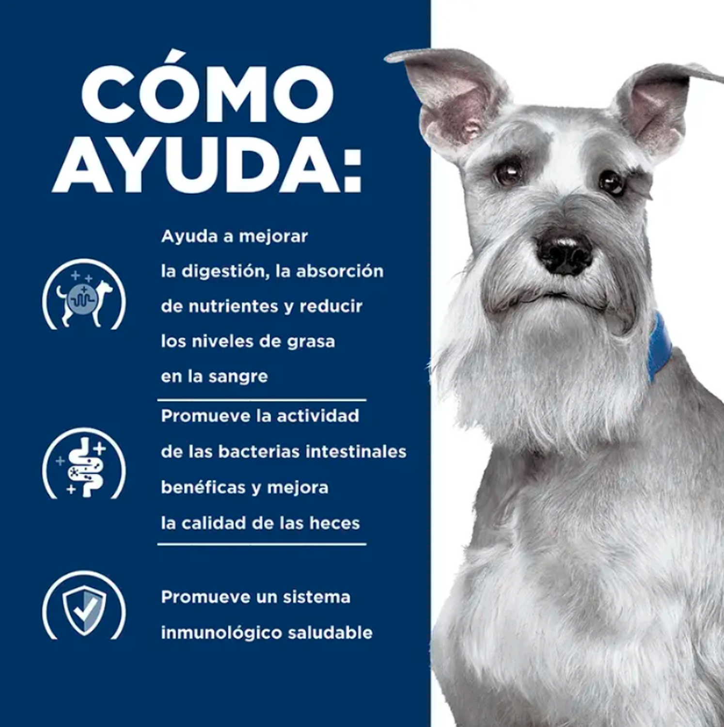 12X Hills Digestive Care I/D Low Fat Perro 370 g C/U-3