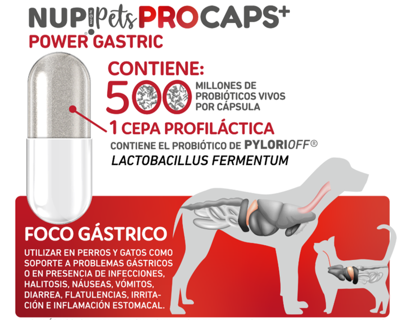 X3 Sachet Nup Pets Pro Caps Power Gastric Perro Gato-2