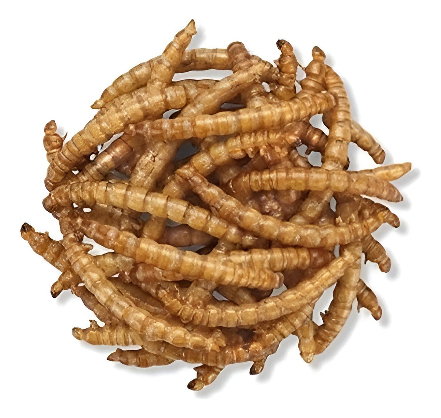 Súper Tenebrios Deshidratados Para Aves Erizos Hámsters 400g-1