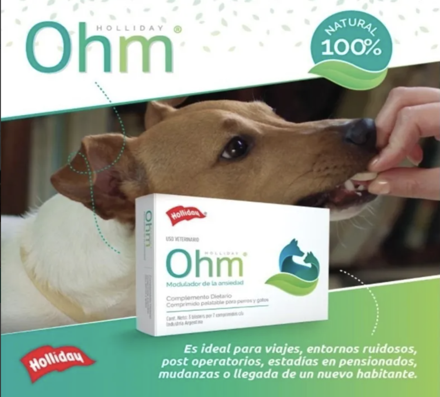 Ohm 21 Comprimidos suplemento VitamÍnico Para Perro Y Gato-2