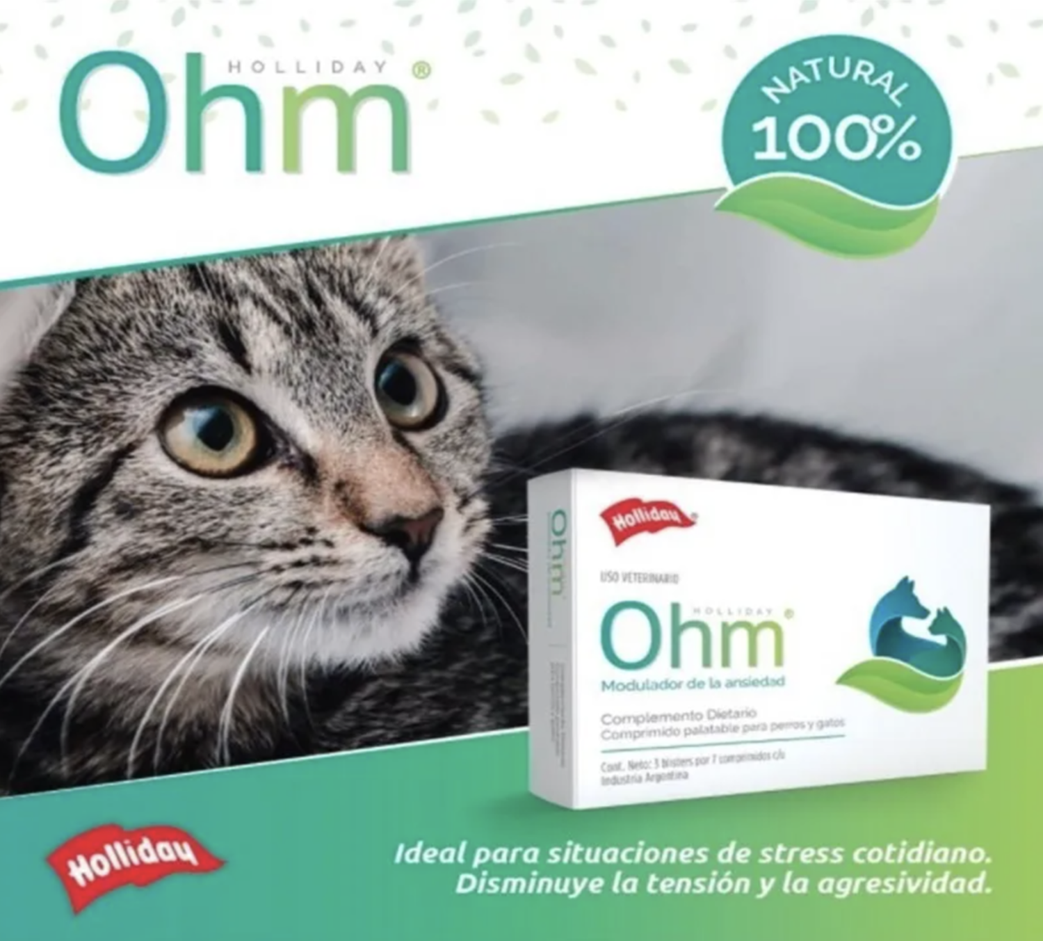 Ohm 21 Comprimidos suplemento VitamÍnico Para Perro Y Gato-3