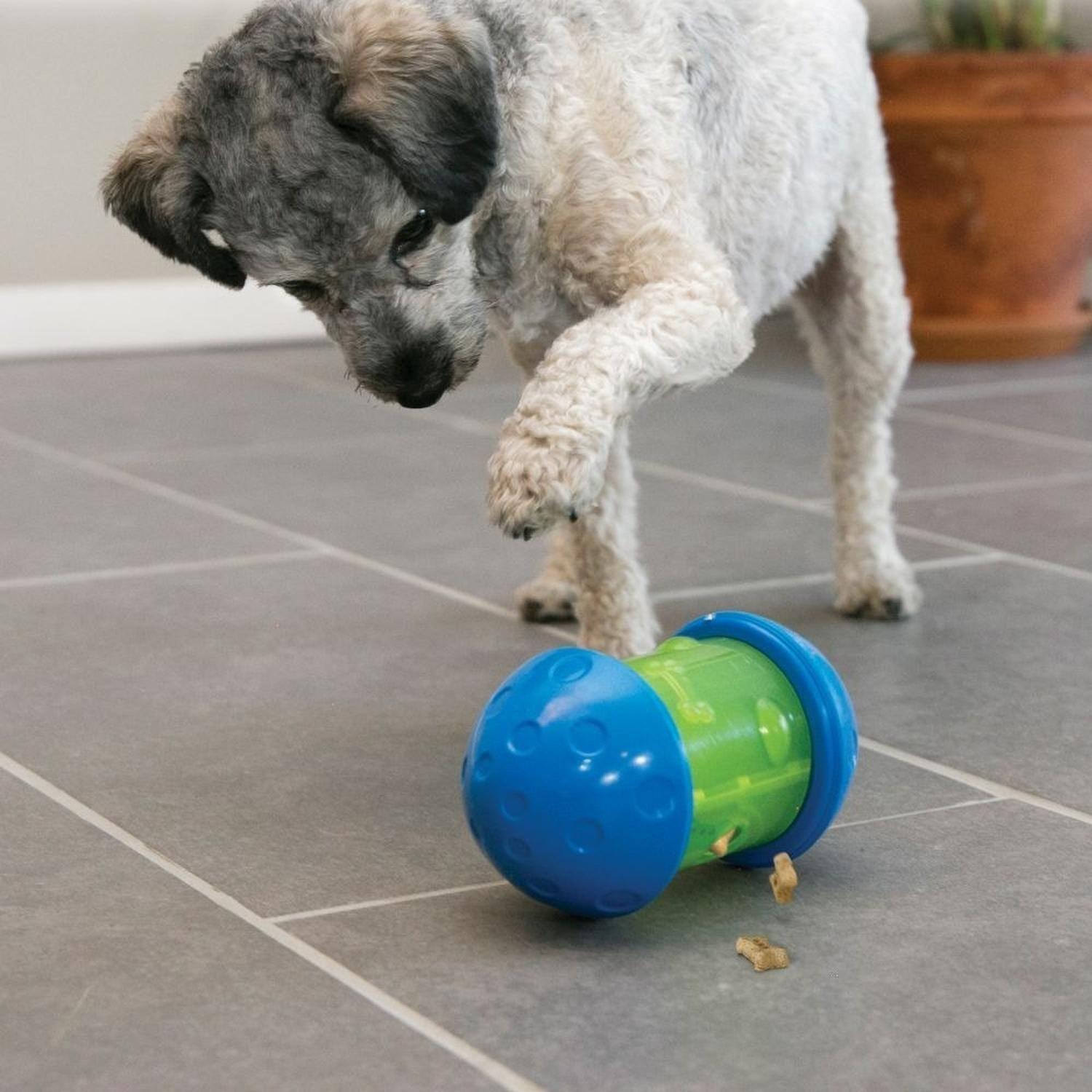 Juguete Dispensador De Comida Para Perro Grande Kong Spin It - AZUL/VERDE-2