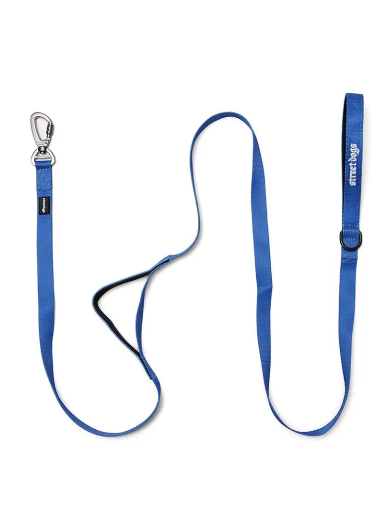 Correa De Paseo Y Adiestramiento Para Perros Street Dogs 3m - AZUL-2