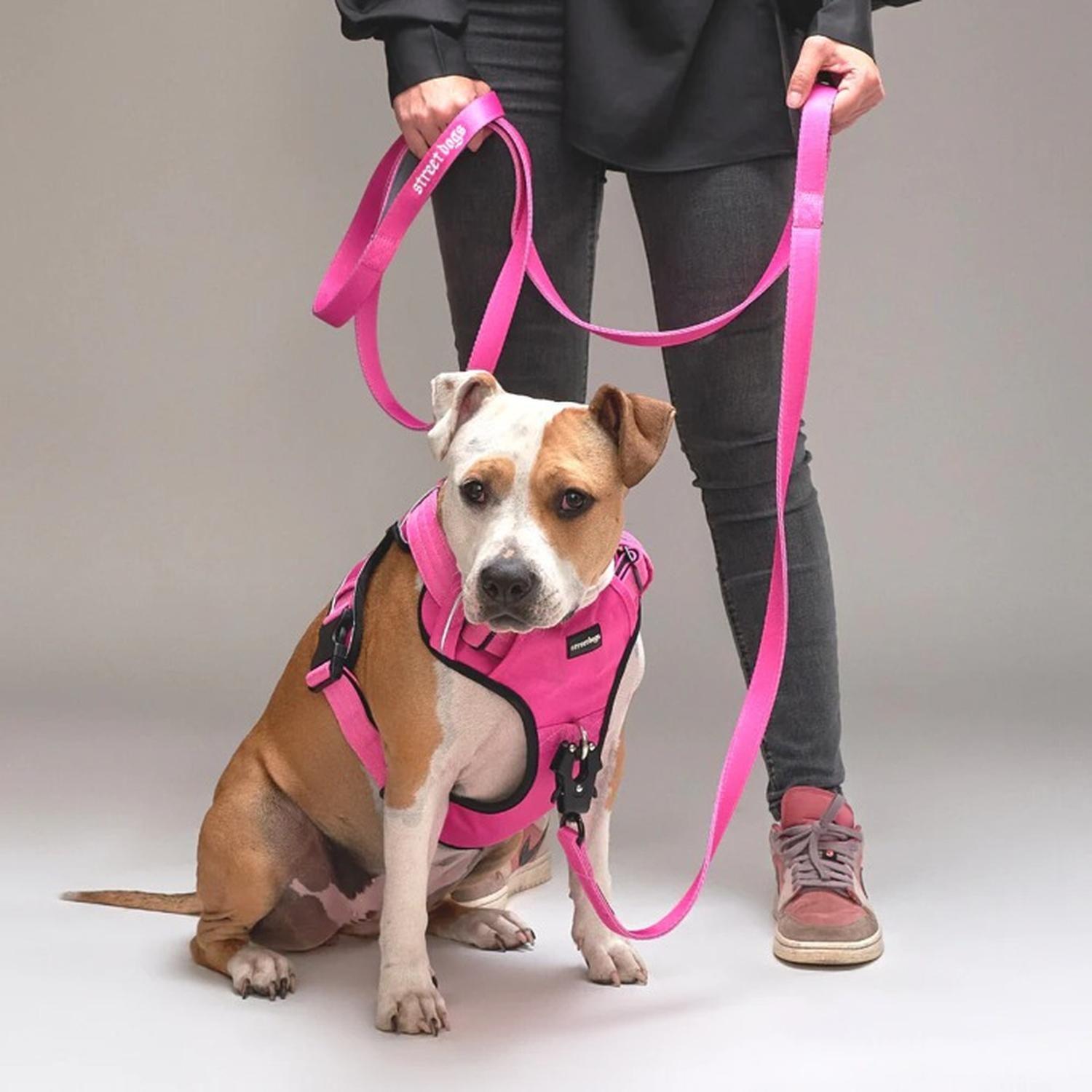 Correa De Paseo Tactic Para Perros Street Dogs 3m-5