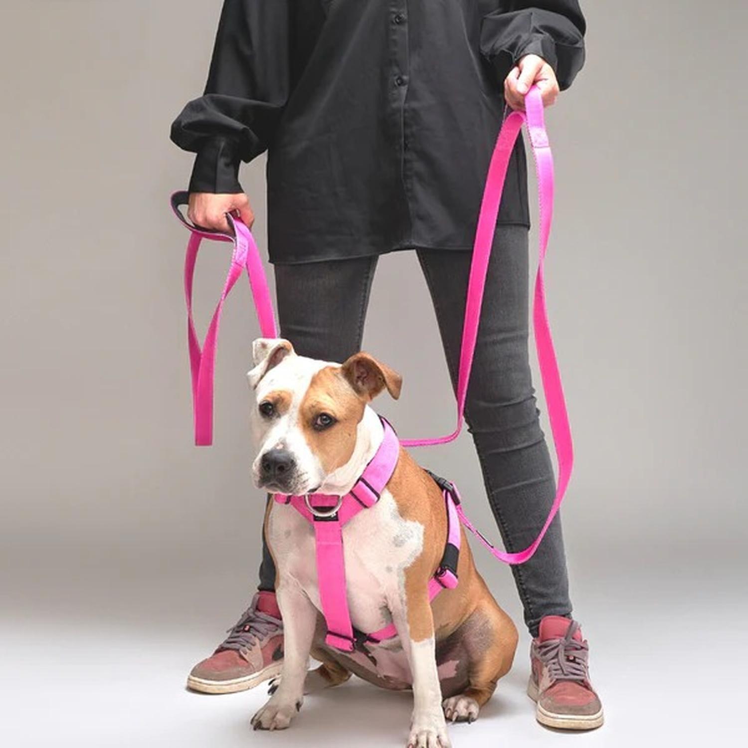 Correa De Paseo Para Perros Street Dogs Light 10m-4
