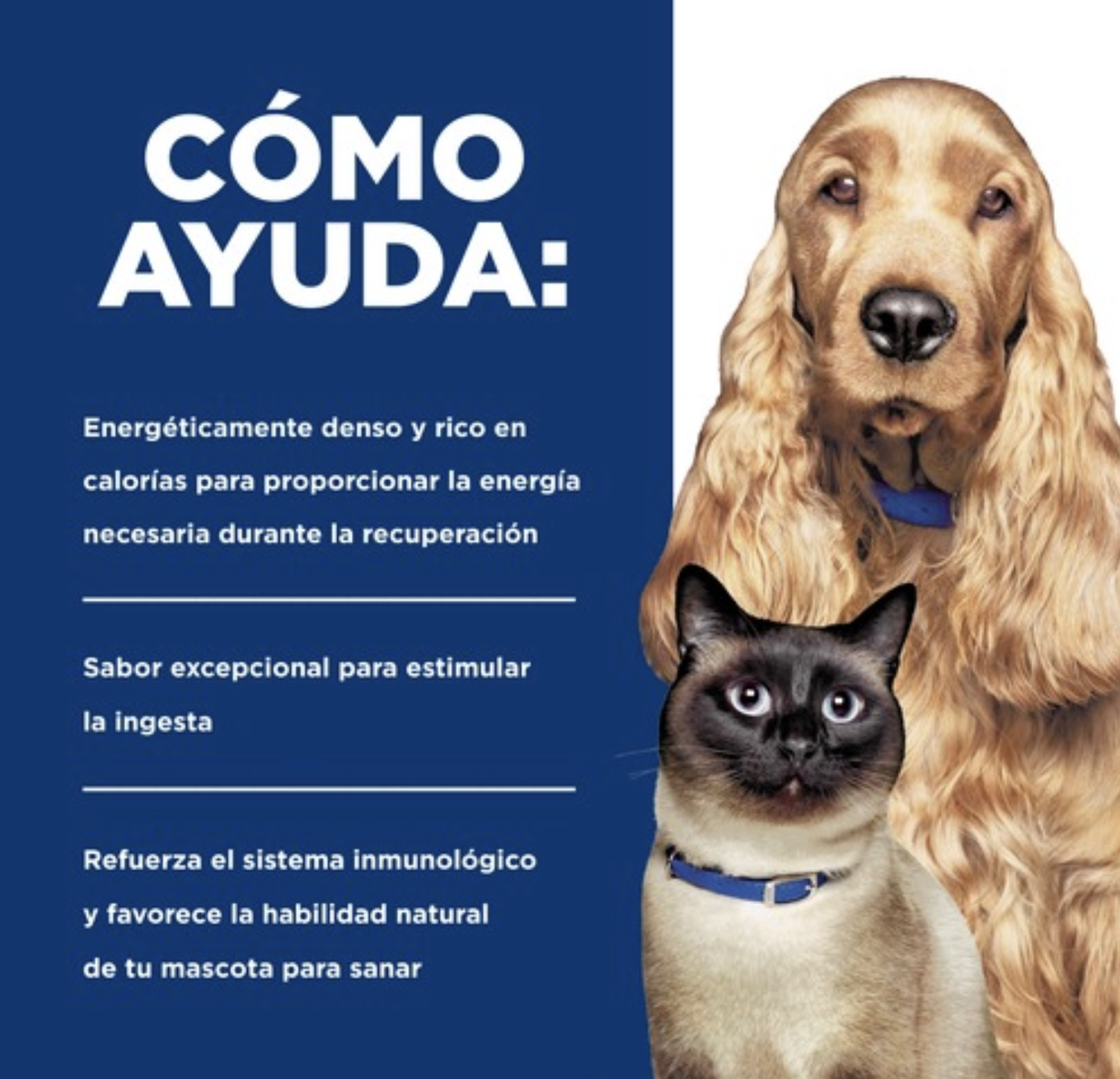 3 X Latas Hills A/d Urgent Care Perro Y Gato 156grs.-2