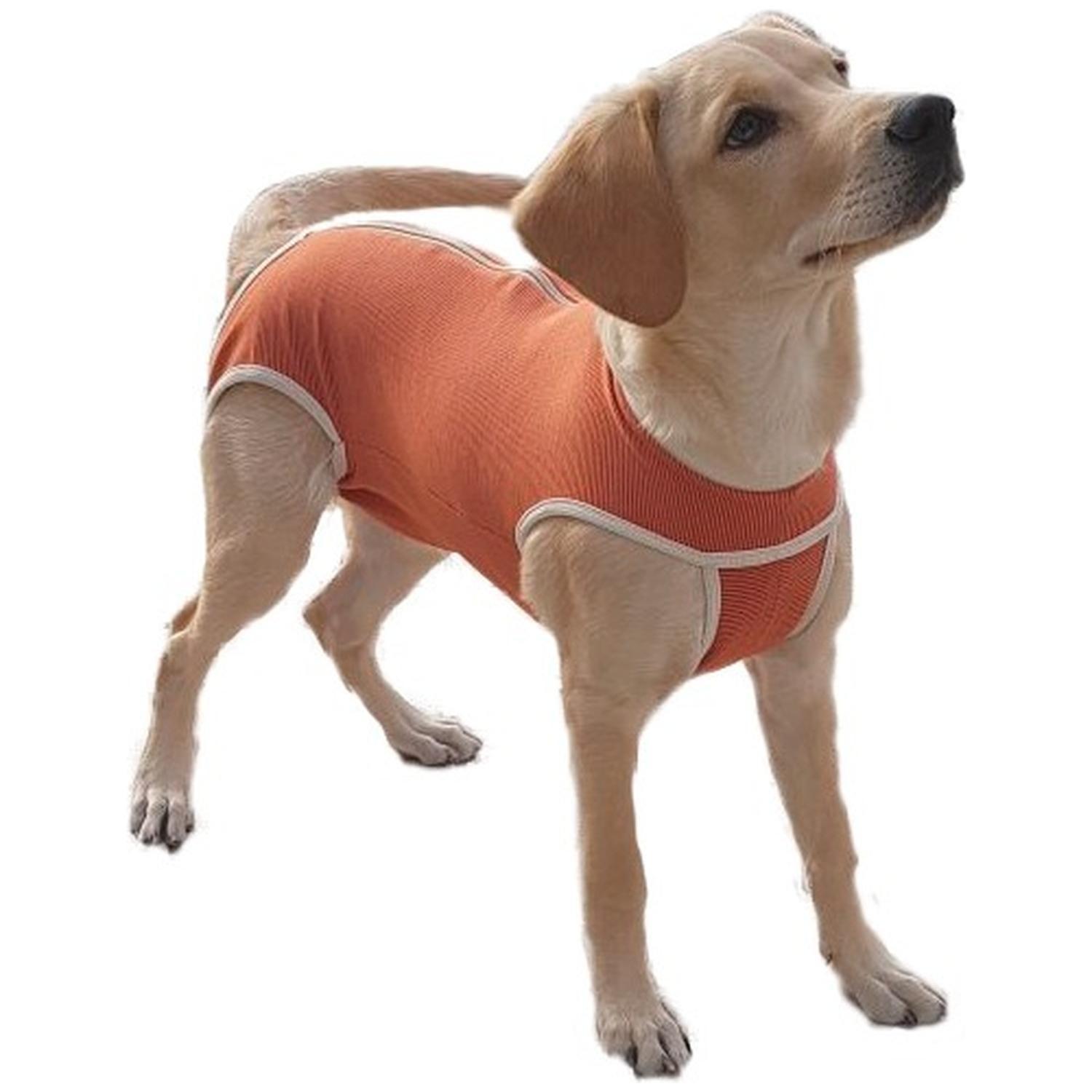 Body Tradicional De Cobre Post - Quirúrgico Talla 14 45 A 50kg Máximo-3