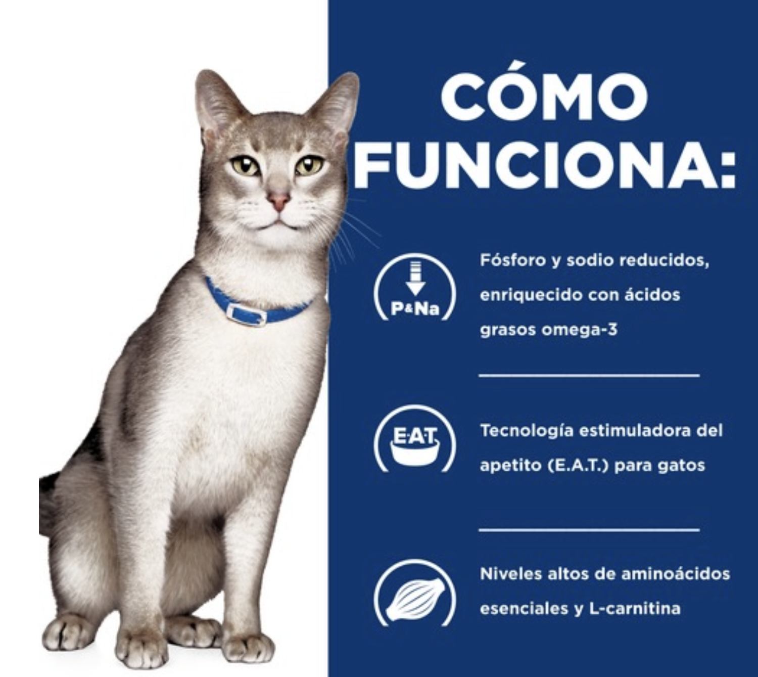 X6 Hill's Prescription Diet Kidney Care Gato Adulto 156 g c/u-4