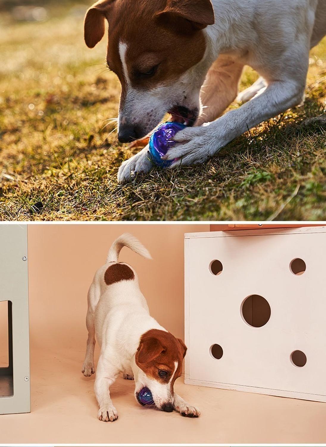 Pelota Juguete Para Perros Squeak 2 Unidades Talla M Gigwi - MIXTO-4