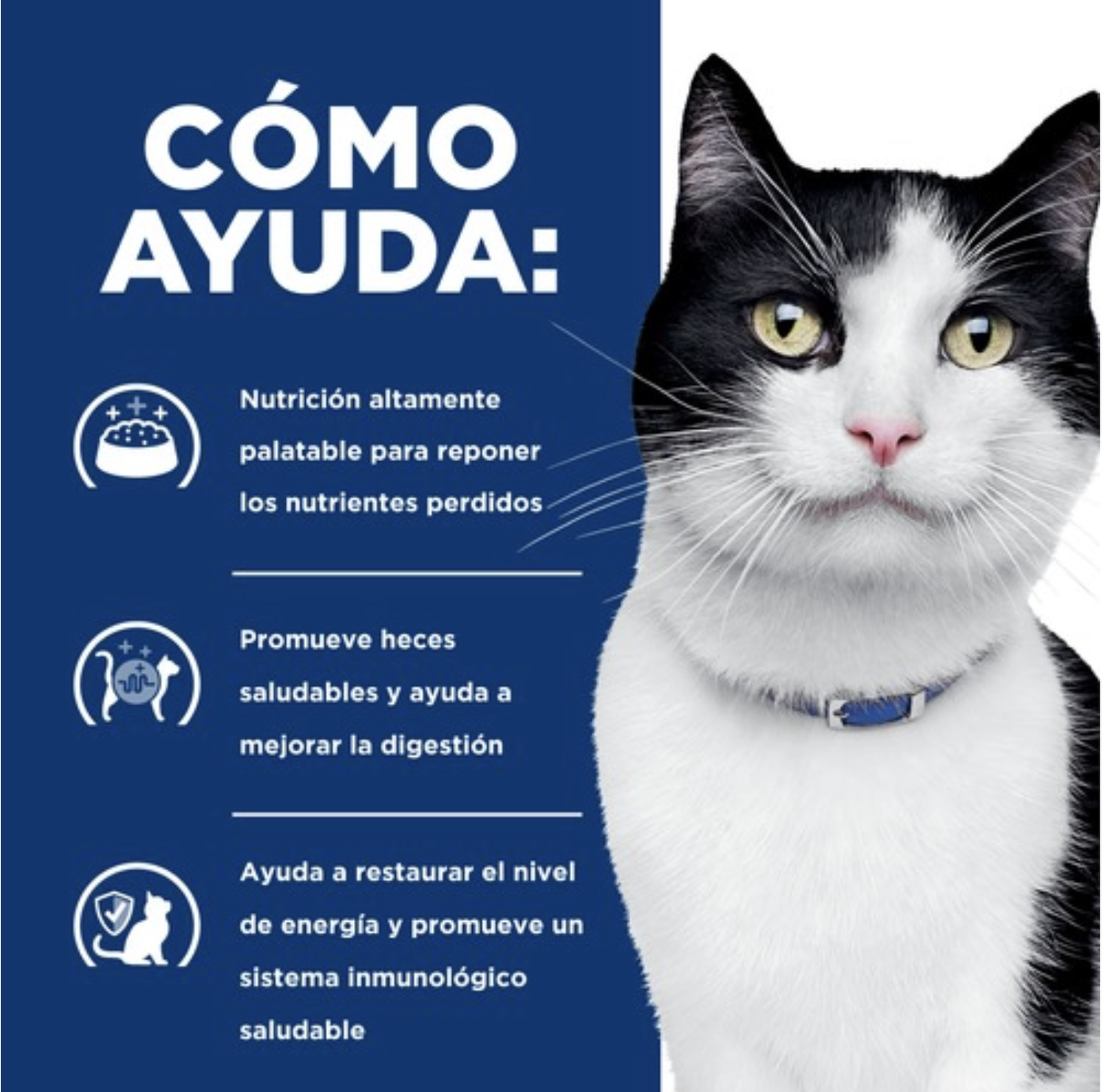 Alimento Hill's Digestive Care I/d Para Gato Sabor Pollo 156g x2u-2