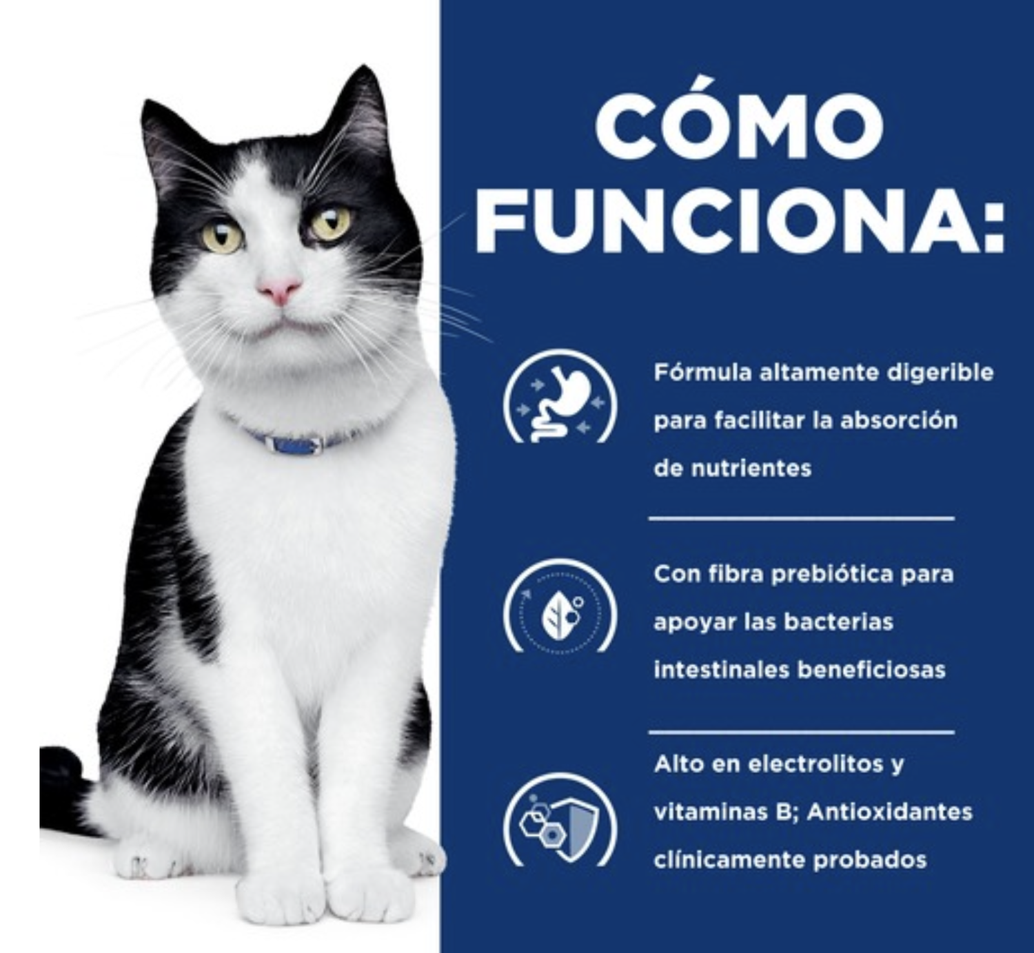 Alimento Hill's Digestive Care I/d Para Gato Sabor Pollo 156g x2u-3