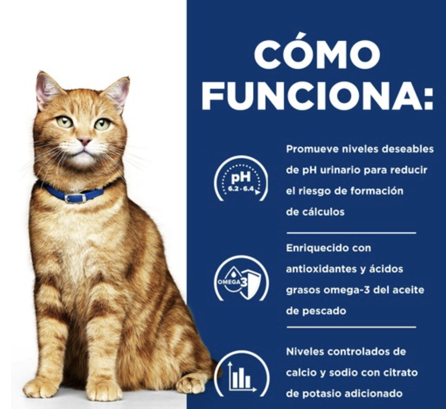 X3 Alimento Hill's Prescription Diet Urinary Care c/d Para Gato-3
