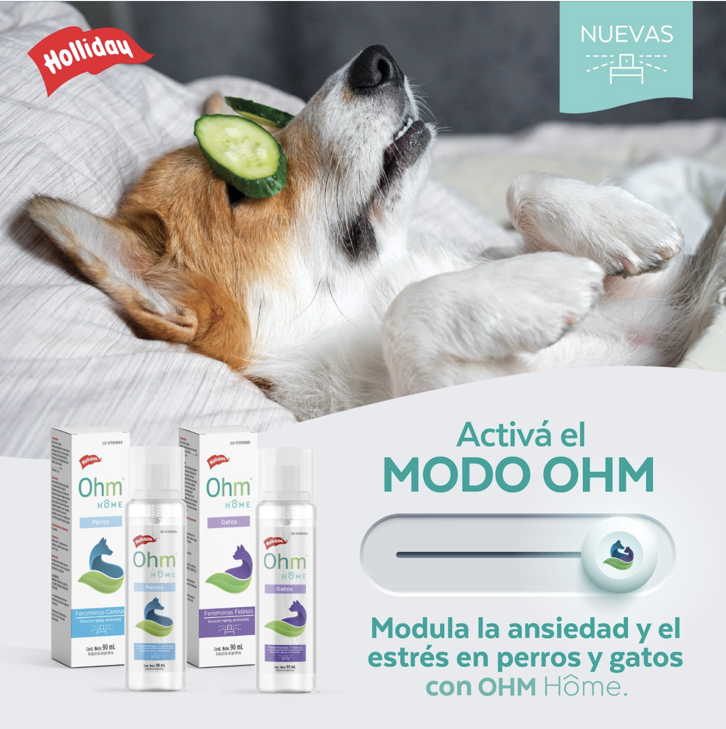 Ohm Home Spray Feromonas Para Perros 90 Ml-3