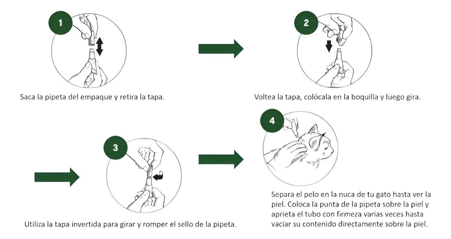 Elanco Advantage Pipeta Antipulgas Para Gatos Entre 4 A 8kg-2