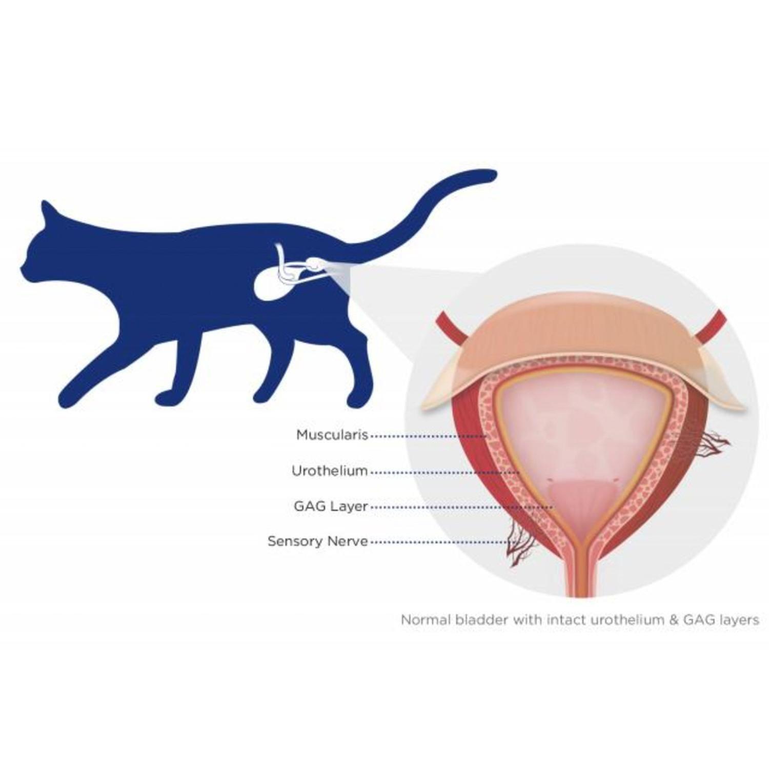 Furinaid Plus Suplemento Para Gatos Con Cistitis 200ml-2