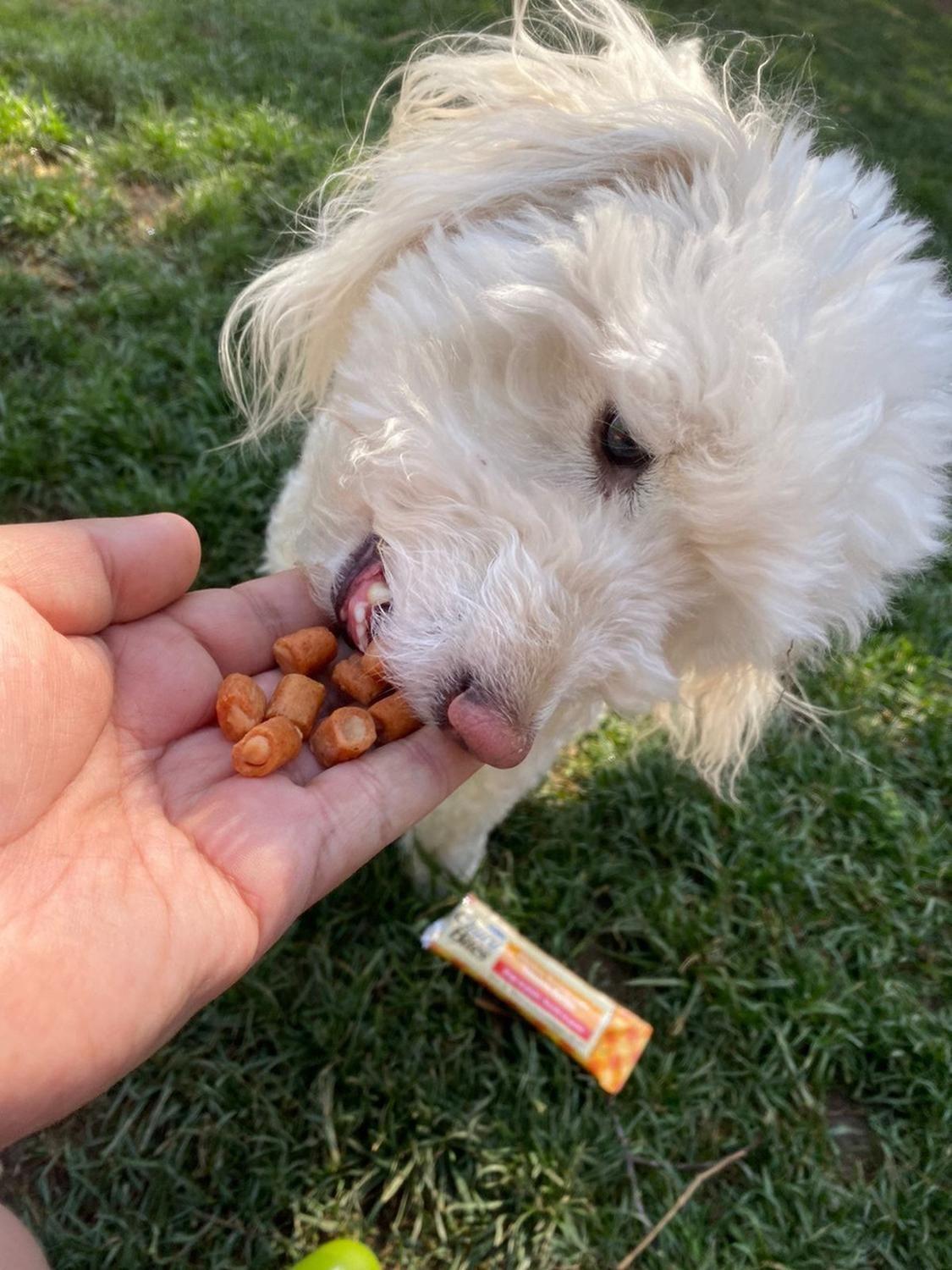 Inaba Snack Suplemento Para Perros Churu Bites Dog Treat 96g-2